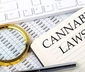 Trump’s Policy Impact on the Marijuana Industry | Live Webinar + On-Demand