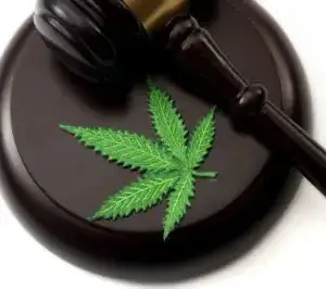 Cannabis Law | CLE