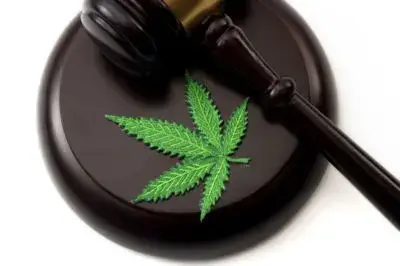 Cannabis Law | CLE