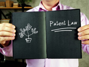 Patent Litigation: Winning Strategies | Live Webinar + On-Demand