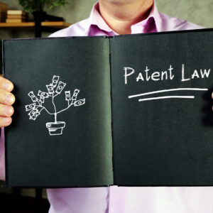 Patent Litigation: Winning Strategies | Live Webinar + On-Demand