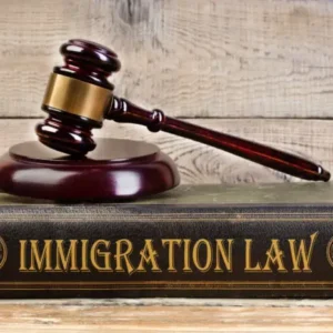 Immigration Policy: Key Facts | Live Webinar + On-Demand