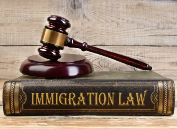 Immigration-_law_2022-700x467