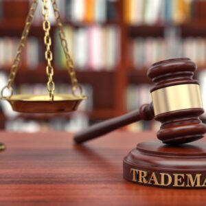 Surveys in Trademark Litigation | Live Webinar + On-Demand
