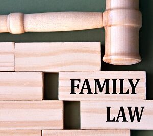 International Child Custody and Support | Live Webinar + On-Demand