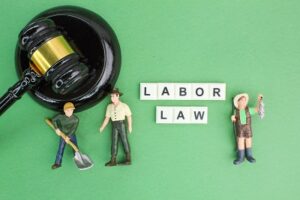 Labor Law | Live Webinar + On-Demand