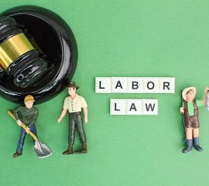Labor Law | Live Webinar + On-Demand